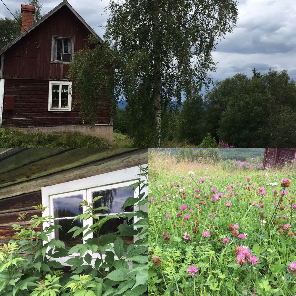 ED42064A-6B64-463A-B0F6-DB8033F1B990