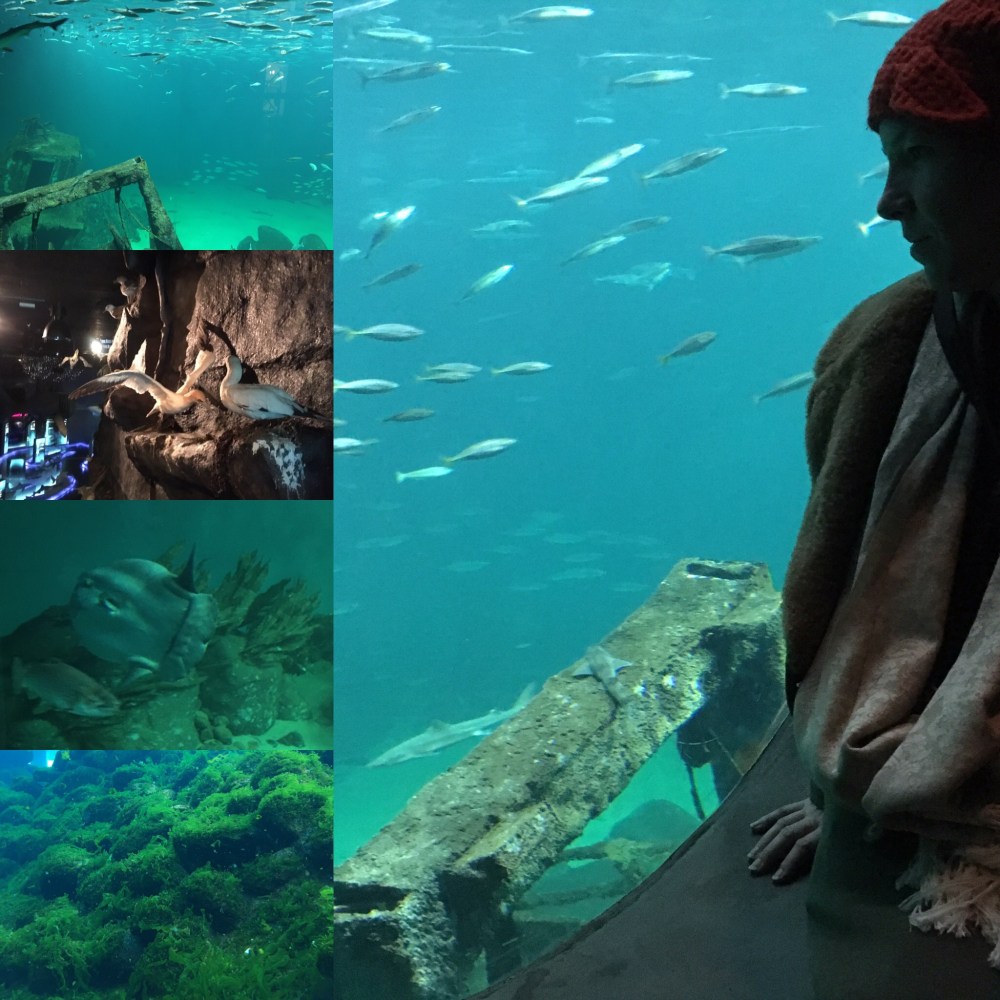 f5889fb1-4fe4-4d5d-bff3-83b0394d9c2c